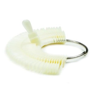 Wzornik wachlarz krótki naturalny 50szt